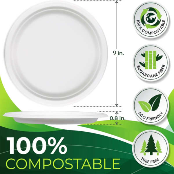 Eco-Friendly Disposable White Paper Plate - Image 2